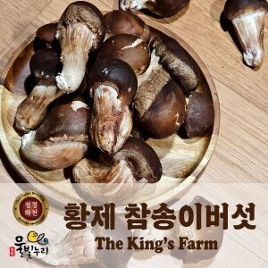 황제 참송이버섯 가정용 1kg